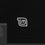 linux mint 20