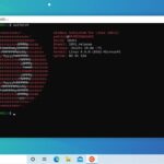 WSL Ubuntu 20.04 LTS