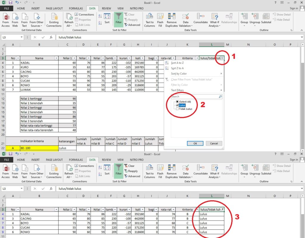 mencari data kelulusan di excel dengan filter