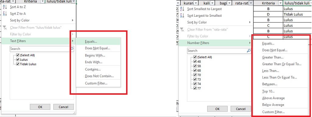 pilihan kondisi pada filter di excel